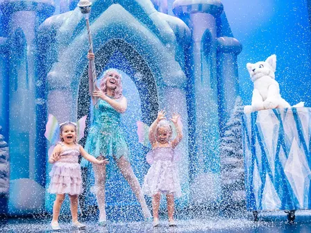 The Snow Fairy