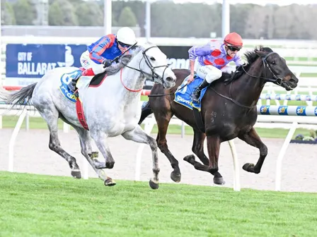Sportsbet Gold Nugget Day