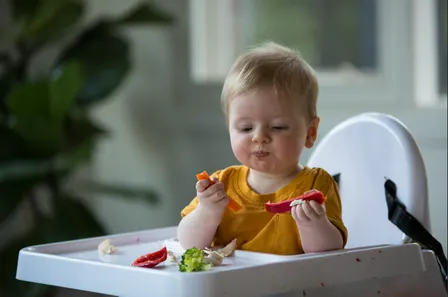 Starting Solids - Lucas Community Hub