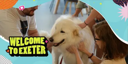 Pets as Therapy