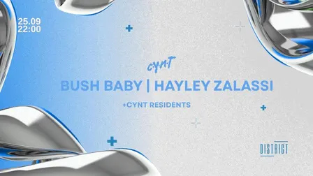 CYNT w/ Bushbaby , Hayley Zalassi + More