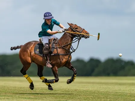 Week 1 POLO TASTERS 2026/27