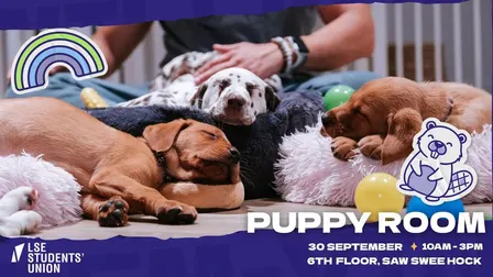Welcome 2026 - Puppy Room
