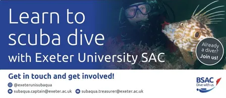 Term 1 Ocean Diver Training