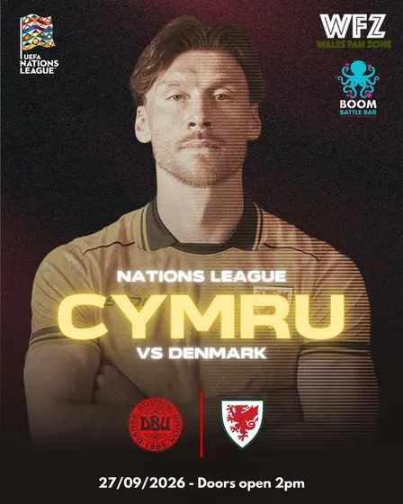 Wales Fan Zone - Denmark vs Wales