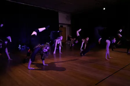 Beginner Contemporary Taster
