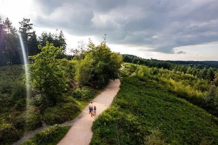 Haldon Forest Hike 🥾🧡
