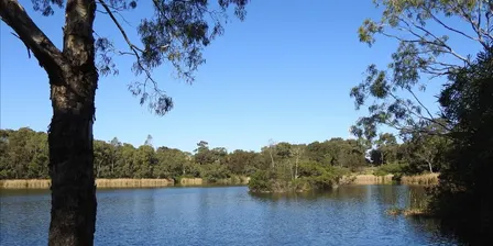Seniors bus tour of Newport Lakes