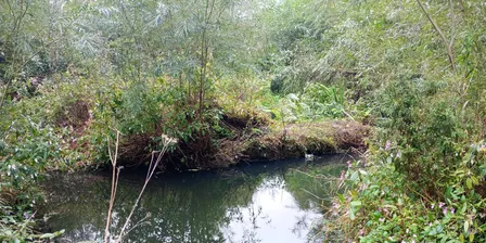September river monitoring walk - Ford Green Brook South