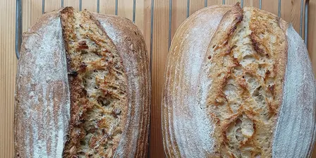Sourdough Bread Making Level 1: From Starter to Loaf