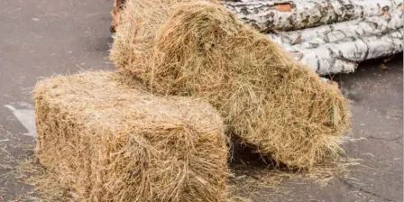 Pea Straw For Sale from Tempting Fete 2026