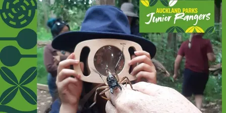 Junior Ranger Explorer Walk - Western Springs Park