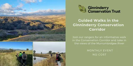 Guided Walks