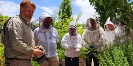 Introduction to Beekeeping Course - Saturday 19th September 2026