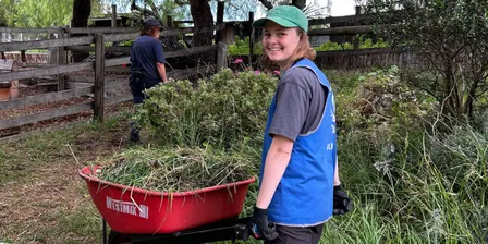 Busy Bees: casual volunteering