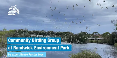 Community Birding Group - 13.03.27
