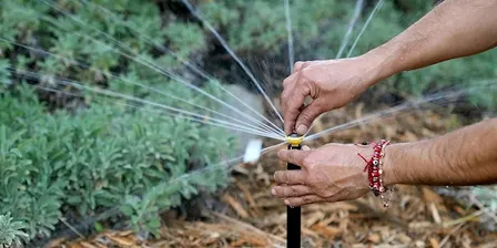 Comprehensive Irrigation for Native Plants with Tim Becker — Sept 2026