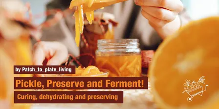 Pickle, Preserve and Ferment! (Curing, dehydrating and preserving) - 14.11.26