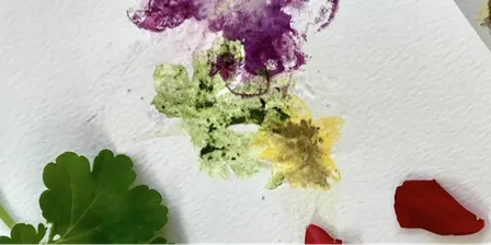 Natural Dyeing and Watercolour with Rivarossa Botanicals