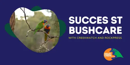 Success St Bushcare