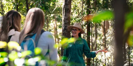 October - Sunshine Coast Nature & Forest Bathing private sessions & walking tours