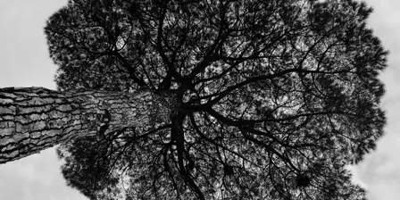 Remembering Earth: A Spiritual Ecology Workshop
