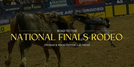 NFR Live Stream National Finals Rodeo 2024 Online on The Cowboy Channel