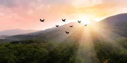 Meditation Deepening Series