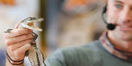 Wildlife Xposure - Native Animals