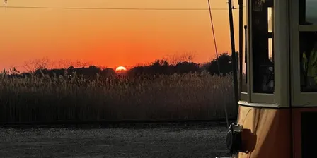 Golden Hour and Sunset Trolley Rides, Sept 23