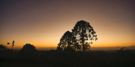 Sunrise Celtic Chorus on Jinibara