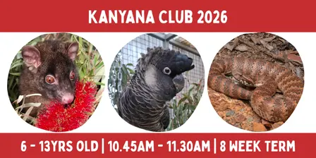 Kanyana Club 2026