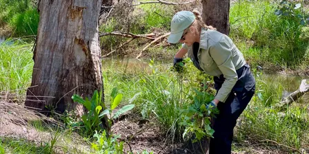 Nature Care Day - 6 November 2026
