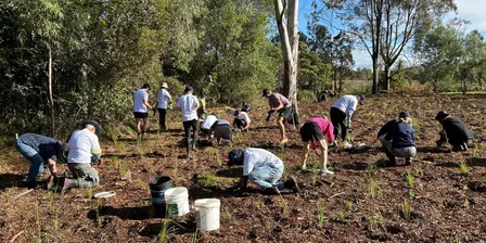 Wetland Warriors at Archerfield Wetlands