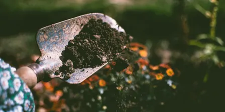 Bristol BID Gardening Club - Quaker Burial Ground