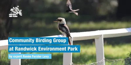 Community Birding Group - 10.10.26