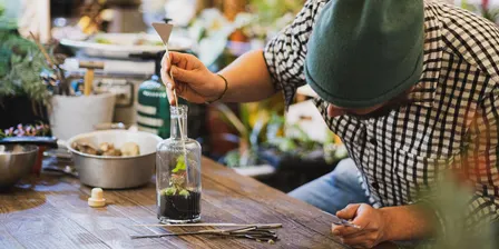 Cute Closed Terrariums with Maria