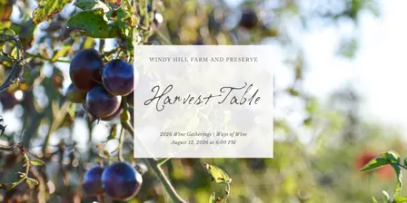 Harvest Table - Wine Gathering at Windy Hill