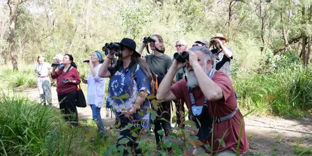Aussie Bird Count