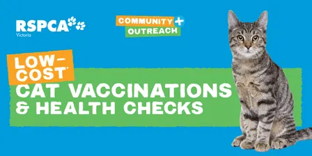 Roxburgh Park Cat Clinic - September 2026