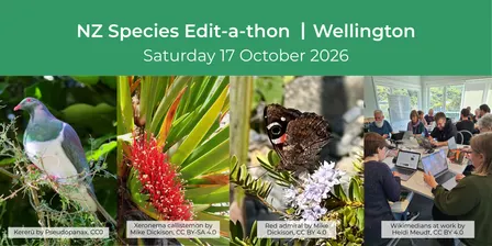 NZ Species Edit-a-thon 2026