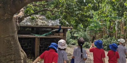 Self-Guided Groups