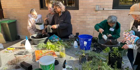 Healthy Edible Garden Series - Propagating