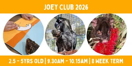Joey Club 2026