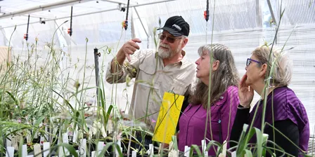 Science Insider: Orchids Up Close Sept 2026