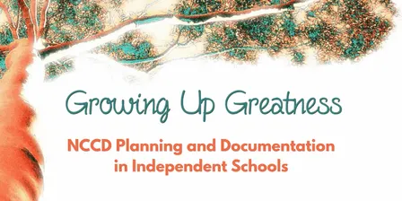 NCCD Planning and Documentation in Independent Schools