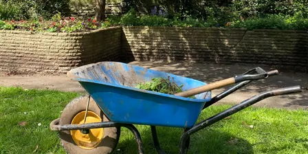 Bristol BID Gardening Club - Berkeley Square