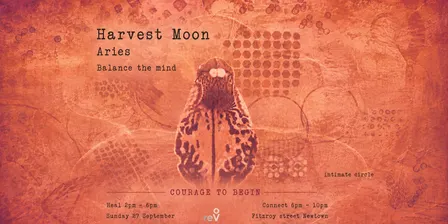Full Moon in Aries Heal by Day