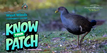 Know Your Patch | Growing Connections at West Winds