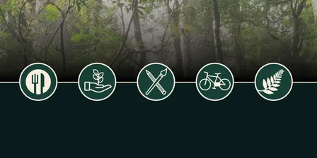 Host Connect Hui: Creating EcoFest Together